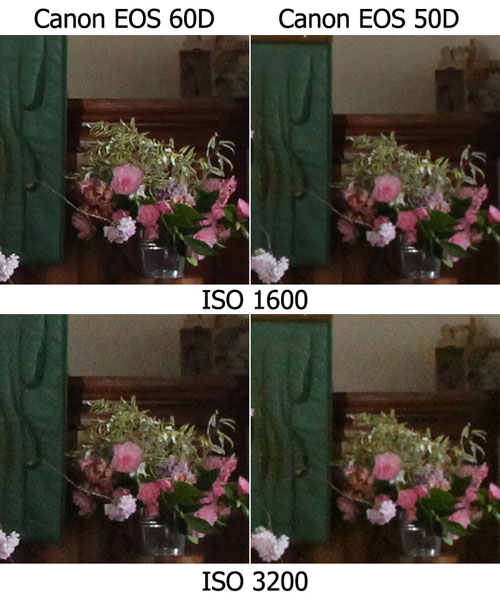 Canon 60D và 50D đọ sức khử nhiễu