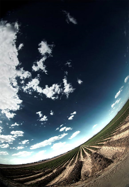 20 bức ảnh sử dụng ống kính 'mắt cá' đặc sắc