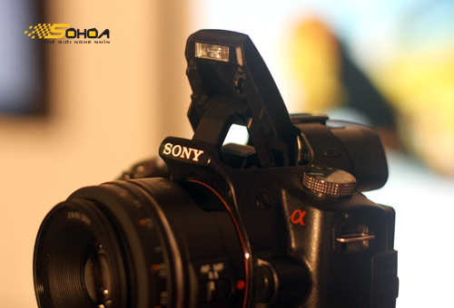 Sony Alpha A33 có giá gần 14 triệu đồng