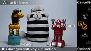 Tìm hiểu firmware 3 cho Sony NEX