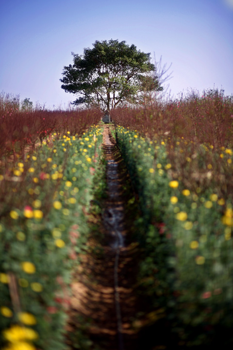 10 mẹo để chụp ảnh đẹp hơn