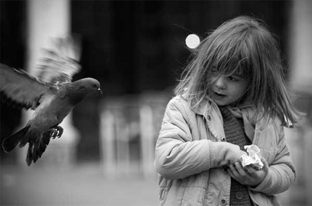 Mùa đông lạnh qua ống kính nhiếp ảnh