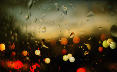 Mùa đông lạnh qua ống kính nhiếp ảnh