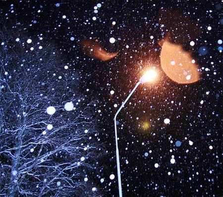 Mùa đông lạnh qua ống kính nhiếp ảnh