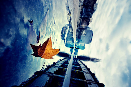 Mùa đông lạnh qua ống kính nhiếp ảnh