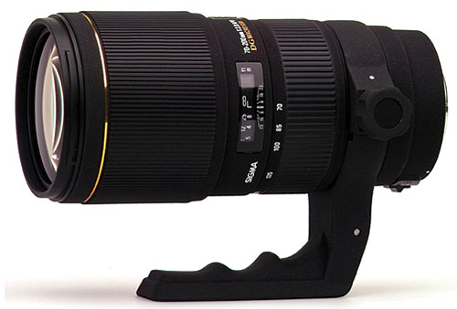 70 – 200mm là tiêu cự thông dụng nhất để chụp thiên nhiên 70 – 200mm là tiêu cự thông dụng nhất để chụp thiên nhiên