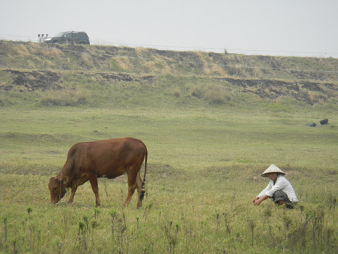 Review: Nikon Coolpix S1100pj