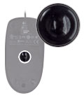 Chuột quang Logitech M100