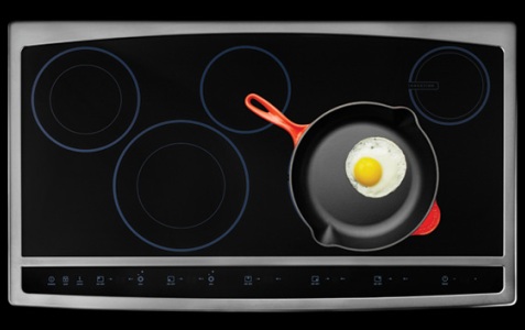 Bếp điện từ hiện đại sang trọng