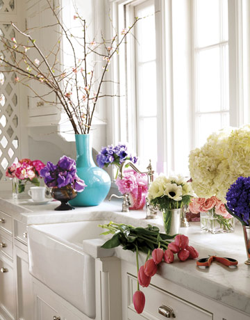 Vẻ đẹp từ cành cây khô