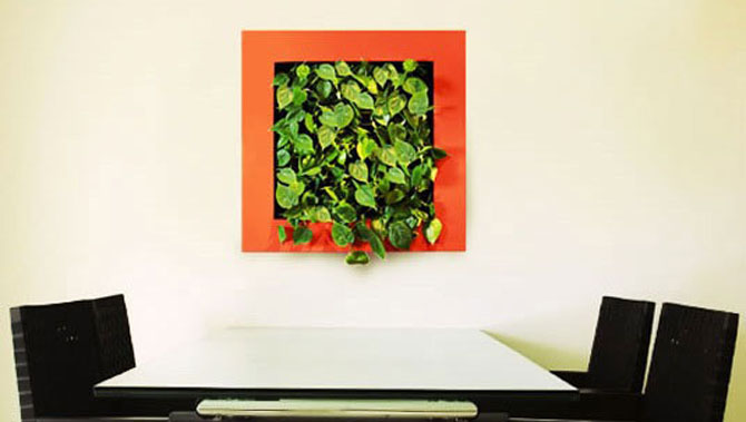 Gần thiên nhiên hơn với tường xanh