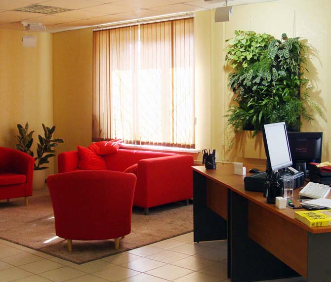 Gần thiên nhiên hơn với tường xanh