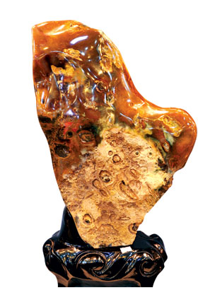 Đưa đá vào nhà