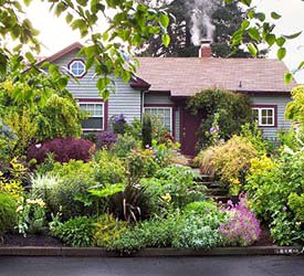 Cải tạo khu vườn của bạn