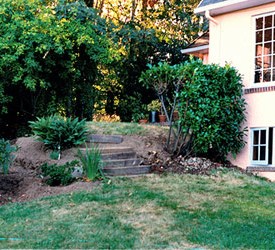 Cải tạo khu vườn của bạn