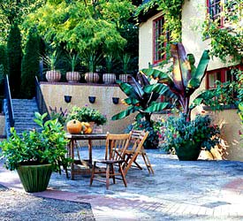 Cải tạo khu vườn của bạn