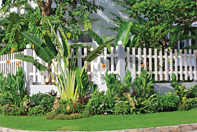 Hàng rào nhà ai màu trắng