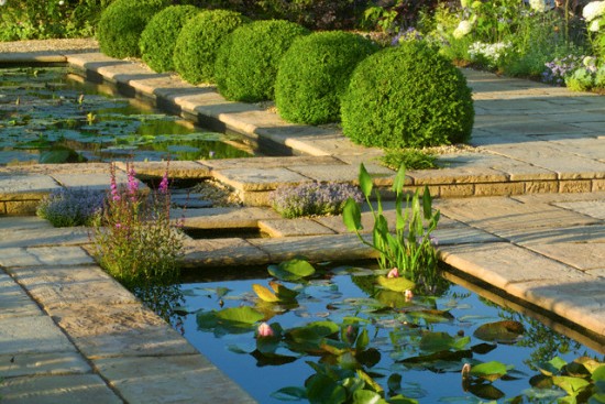 Ao nước trong vườn nhà