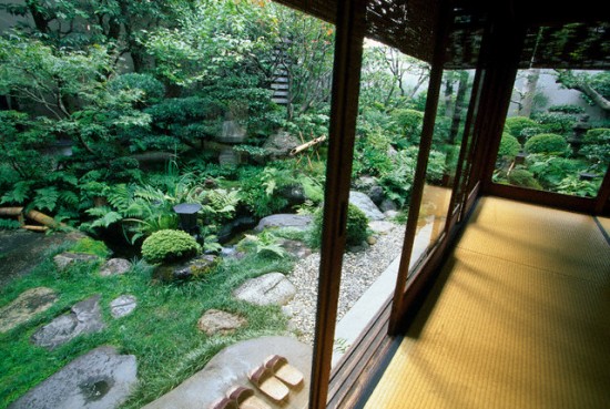 Ao nước trong vườn nhà