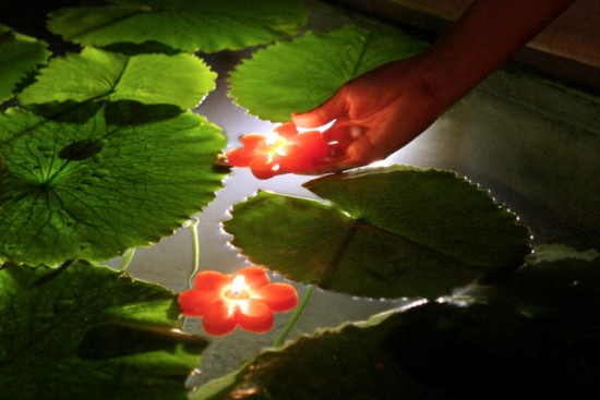 Ao nước trong vườn nhà