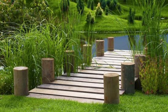 Ao nước trong vườn nhà