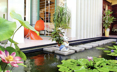 Sen trong vườn nhà Sen trong vườn nhà