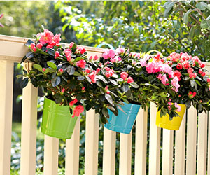 Mẹo nhỏ cho khu vườn thêm xinh đẹp