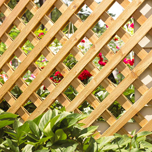 Mẹo nhỏ cho khu vườn thêm xinh đẹp