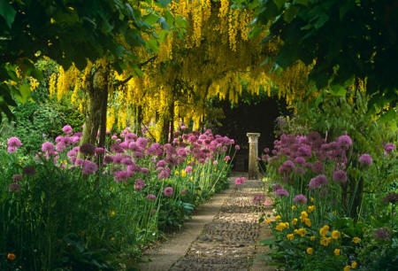 Khu vườn xinh xắn