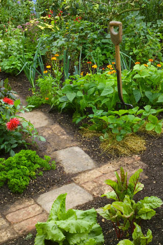 Khu vườn xinh xắn