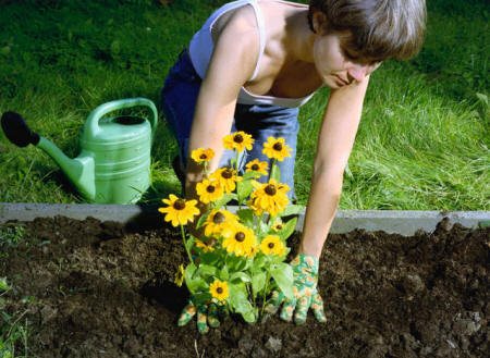 Khu vườn xinh xắn