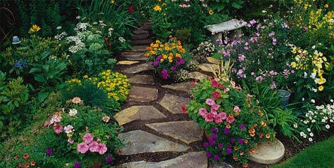 Khu vườn xinh xắn