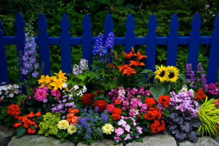 Khu vườn xinh xắn