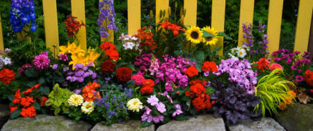 Khu vườn xinh xắn