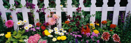 Khu vườn xinh xắn