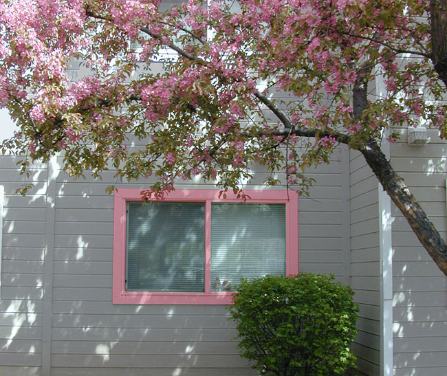 Trang trí cửa sổ đơn giản