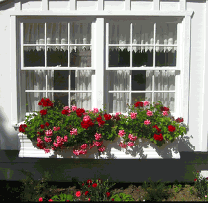 http://images.thegioididong.com/Files/2011/02/22/31042/532_Trang-tri-cua-so-don-gian.gif