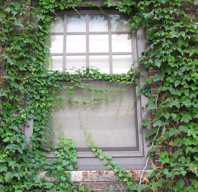 Trang trí cửa sổ đơn giản