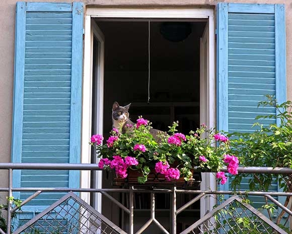 Ban công đẹp cho nhà phố