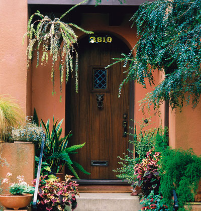 Hoa đẹp bên hiên nhà