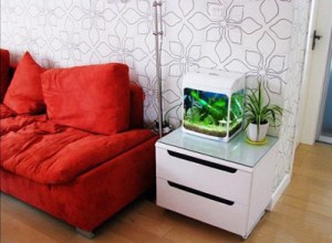 Chọn hình dáng bể cá thu hút tài lộc