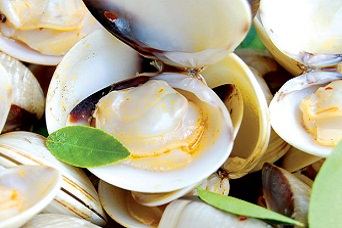 Nấu ăn: Nghêu nấu thì là lá chanh