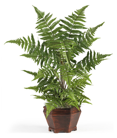 Phong thủy mang sự giàu có cho gia chủ