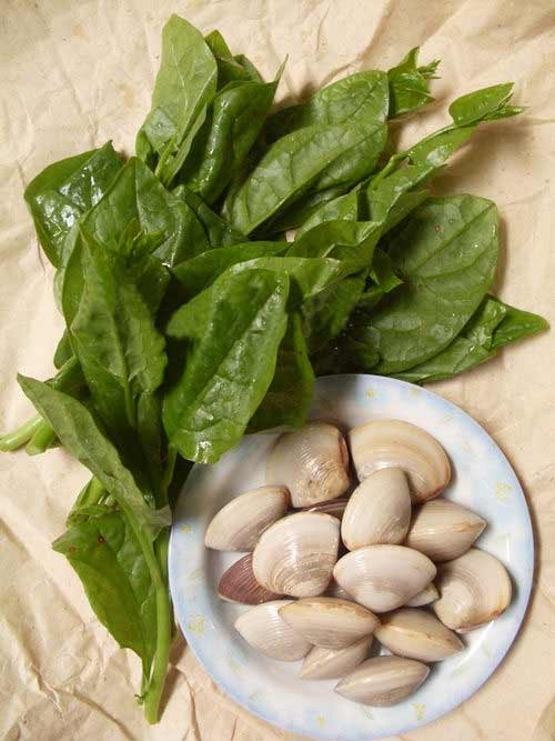 Nấu ăn: Mát lành canh ngao nấu rau mùng tơi