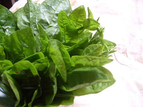 Nấu ăn: Mát lành canh ngao nấu rau mùng tơi