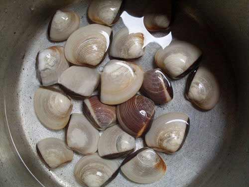 Nấu ăn: Mát lành canh ngao nấu rau mùng tơi