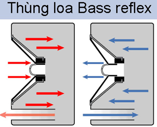 Tìm hiểu hoạt động của loa - các loại loa