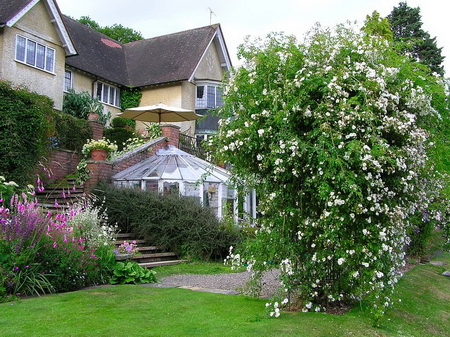 Sự hài hòa thủy - mộc trong nhà vườn