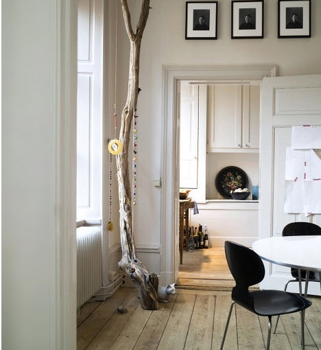 Ý tưởng thú vị trang trí nhà với cành cây