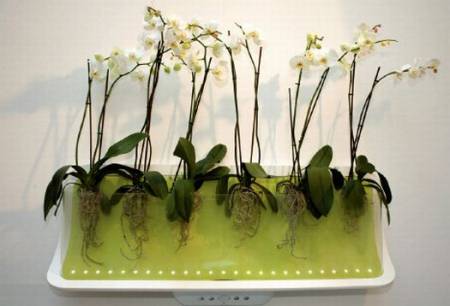 9 thiết kế cho máy làm sạch không khí